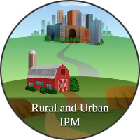 Rural and Urban IPM